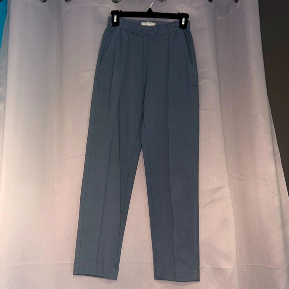 Everlane Pants Womens XS Dream Pant Gray Front Seam Stretch High Waisted Work